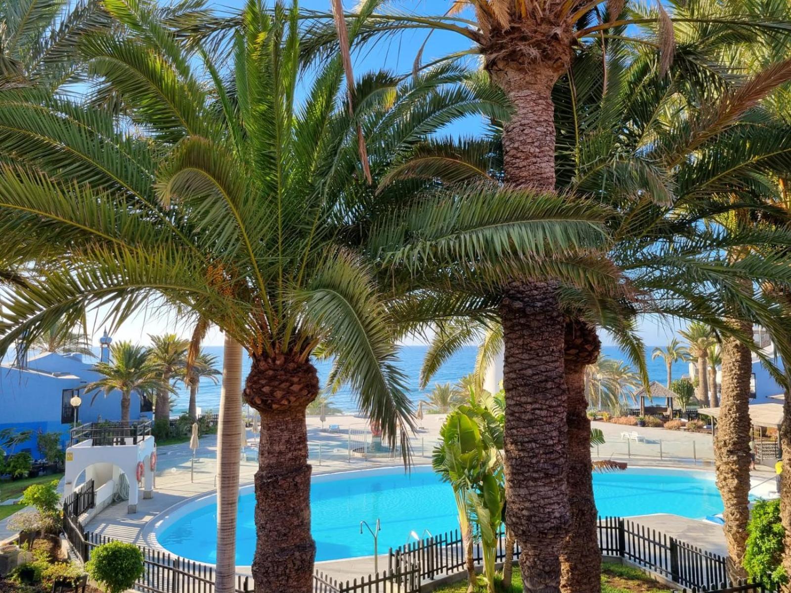 Top 2 Sun Club Bungalow Terraza ماسبالوماس المظهر الخارجي الصورة